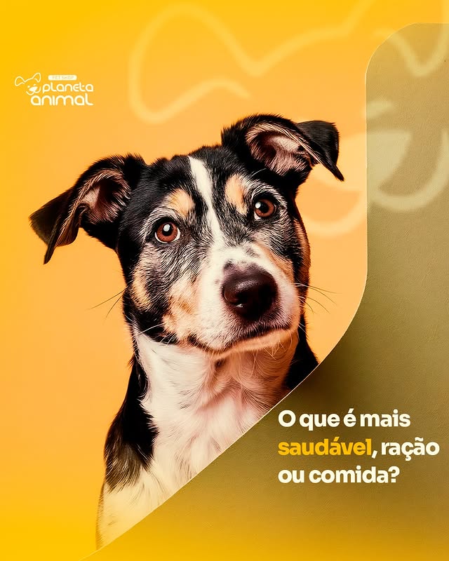 Arte 2