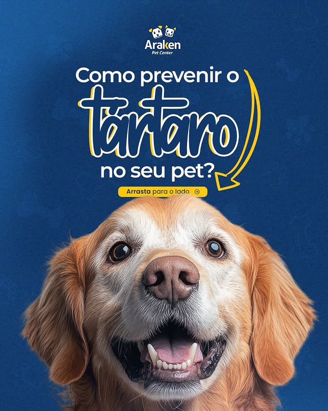Arte 16