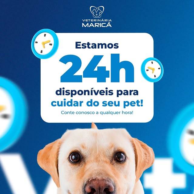 Arte 1